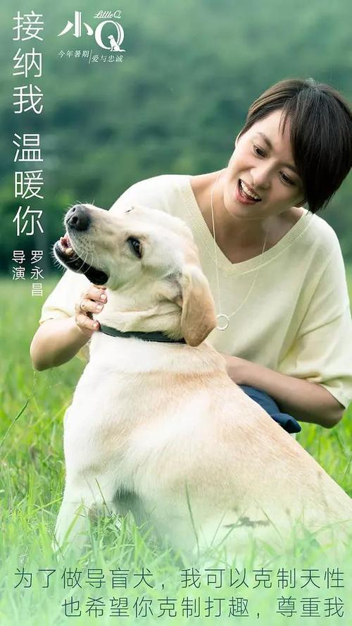不动产信息证明显示现势是有什么问题吗?
